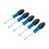 Schraubendreher-Satz - T-Profil (für Torx) - Mit / Ohne Bohrung - T6 Bis T10 - Klingenlänge 80 Mm - 5-tlg.