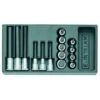 Satz Schraubendrehereinsätze 1/2 - In 1/3 ES-Modul - 15-teilig