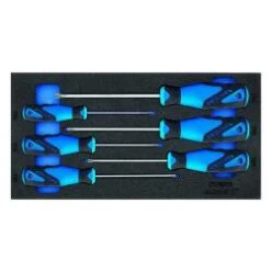 Schraubendreher-Satz - Innen-Torx®mit Stift - In Check-Tool-Einlage - 6-teilig